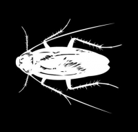 Logo de Cockroach Inc.